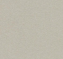 Линолеум Forbo Bulletin Board 2206 oyster shell фото 1 | FLOORDEALER